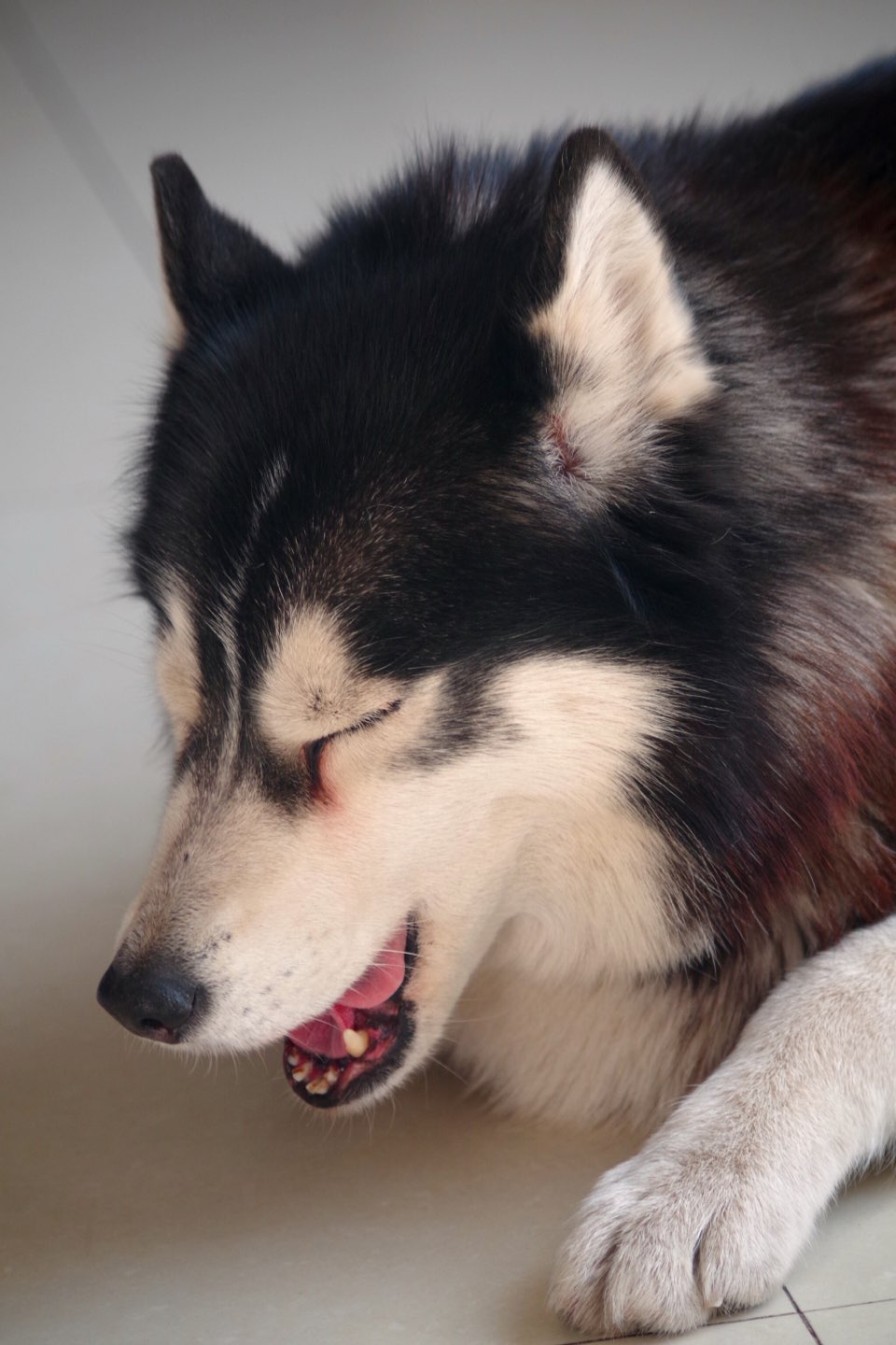 宾得ks1～da55—300