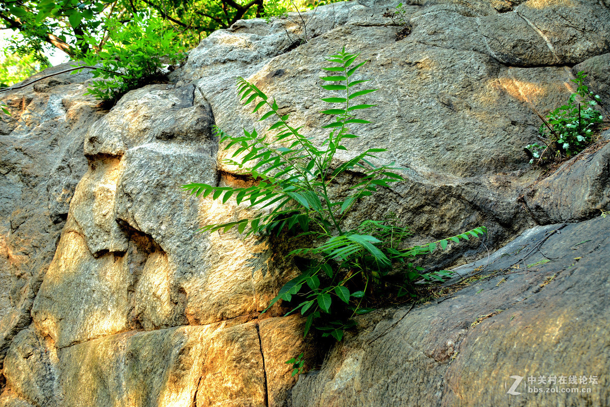 中华泰山、天下泰安 —— 拍摄的一组泰山风景图