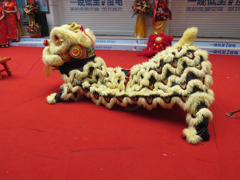 纪实 】南狮大展放-中关村在线摄影论坛