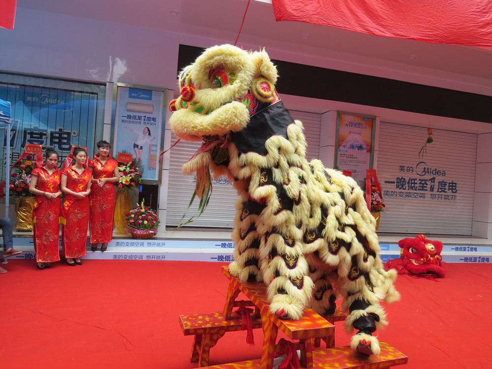 纪实 】南狮大展放-中关村在线摄影论坛