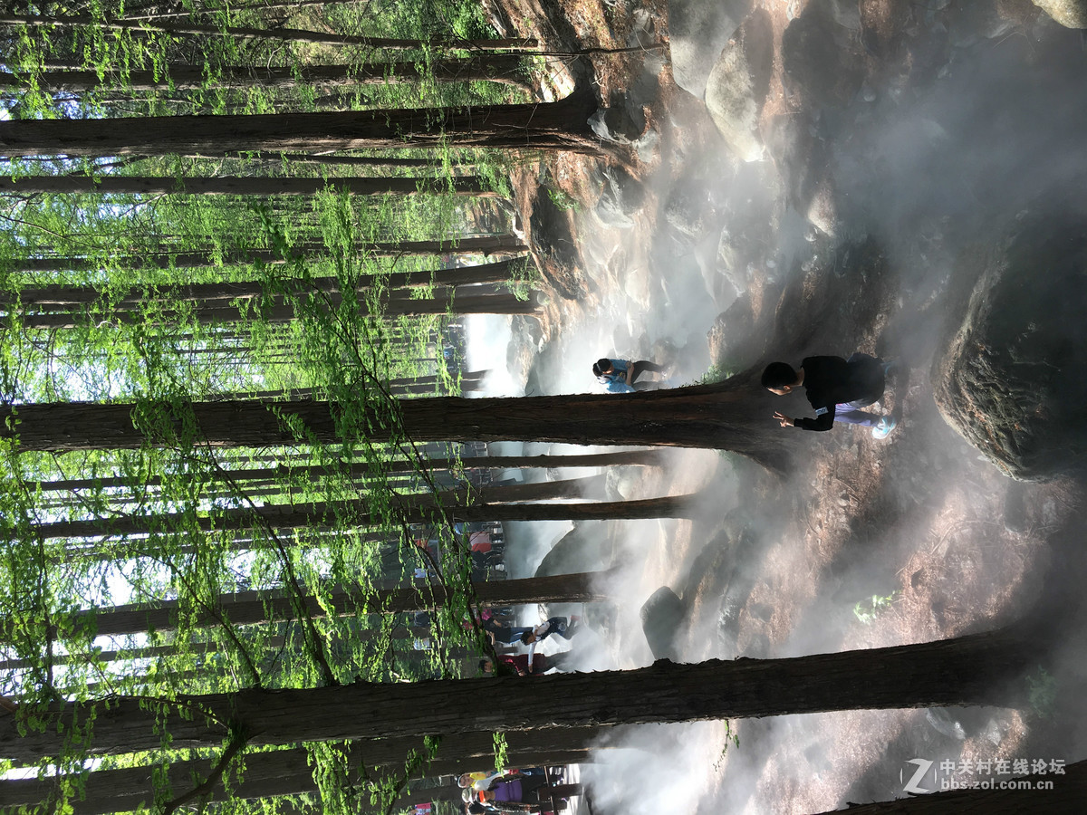 #ZOL月赛-春暖花开#约会春天，又见植物园