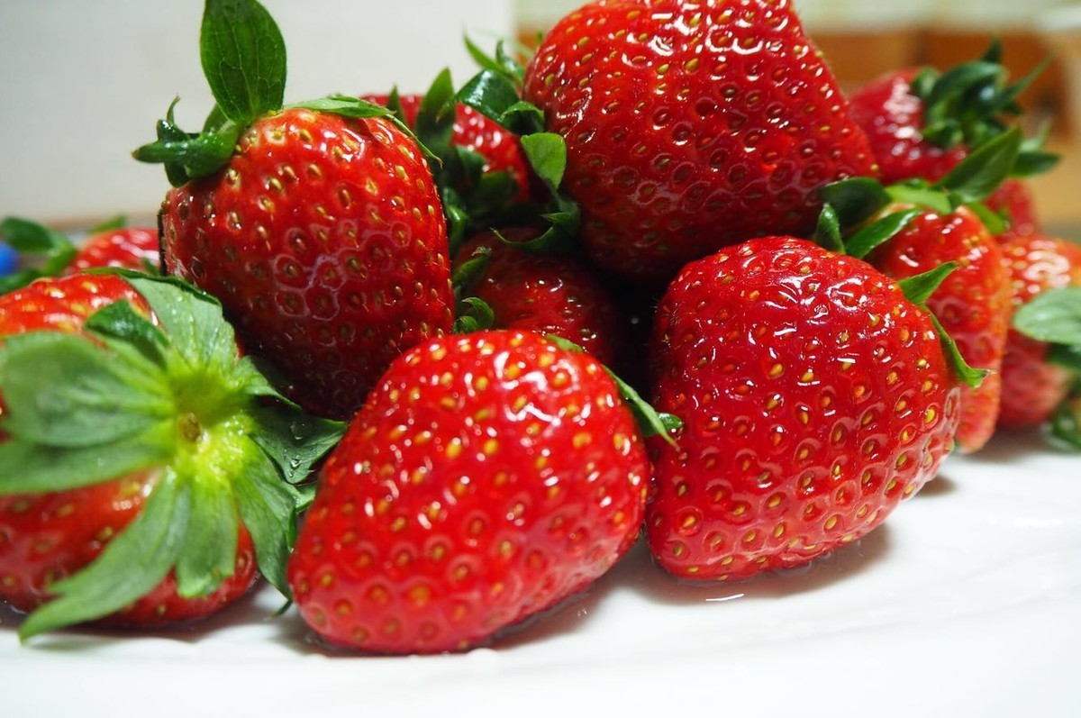 奥林巴斯E-M10II随手拍