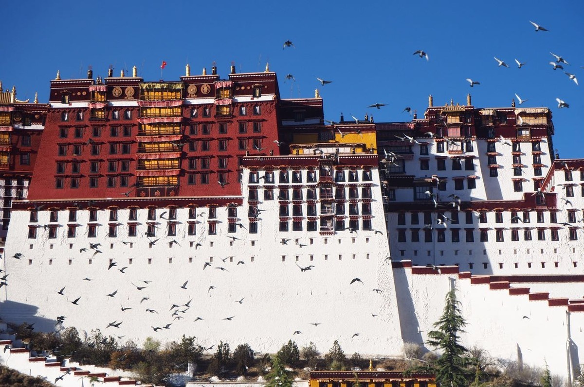 奥林巴斯E-M10II随手拍