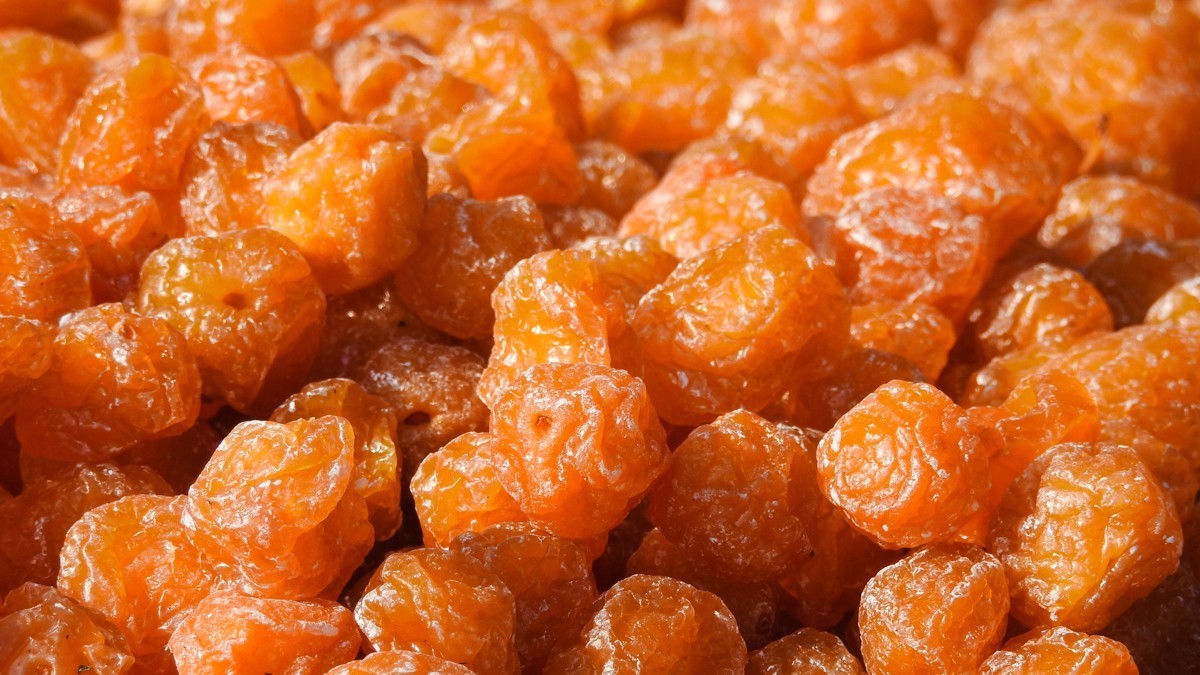 尼康P900S——不饱口福，也饱眼福