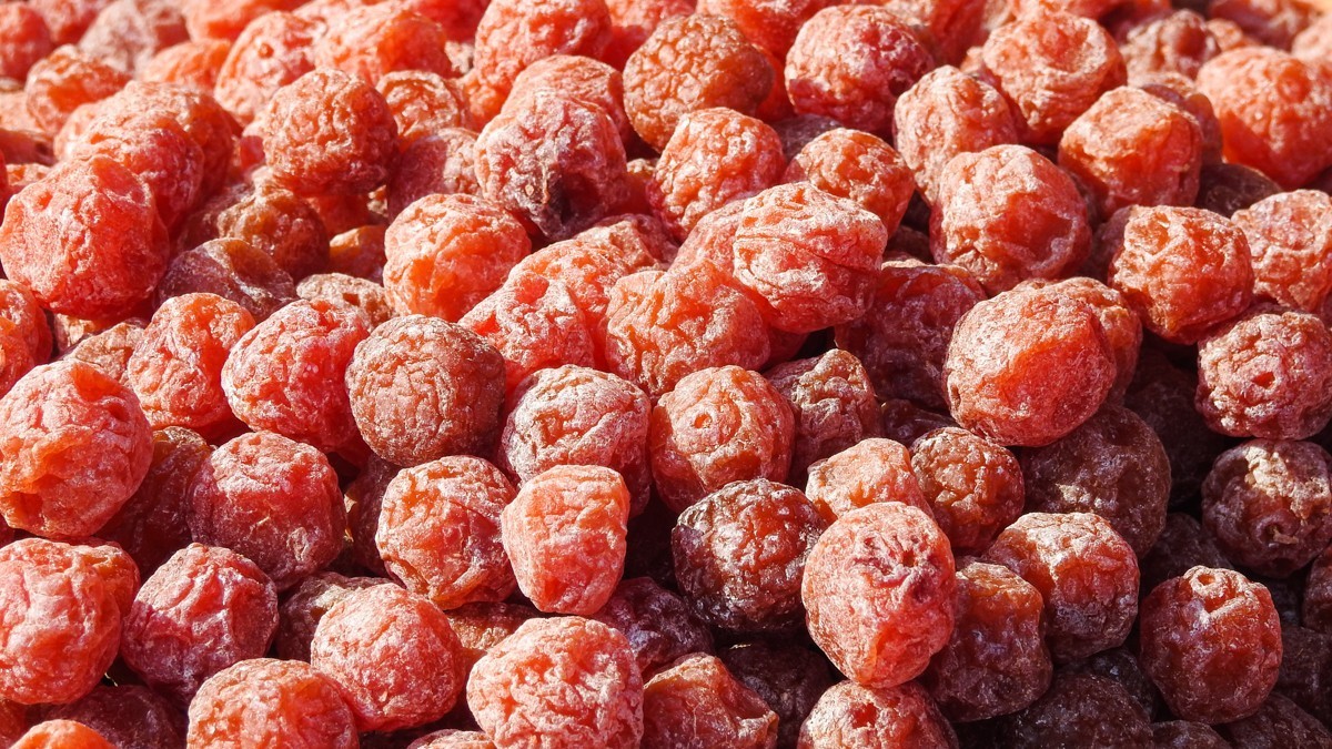 尼康P900S——不饱口福，也饱眼福