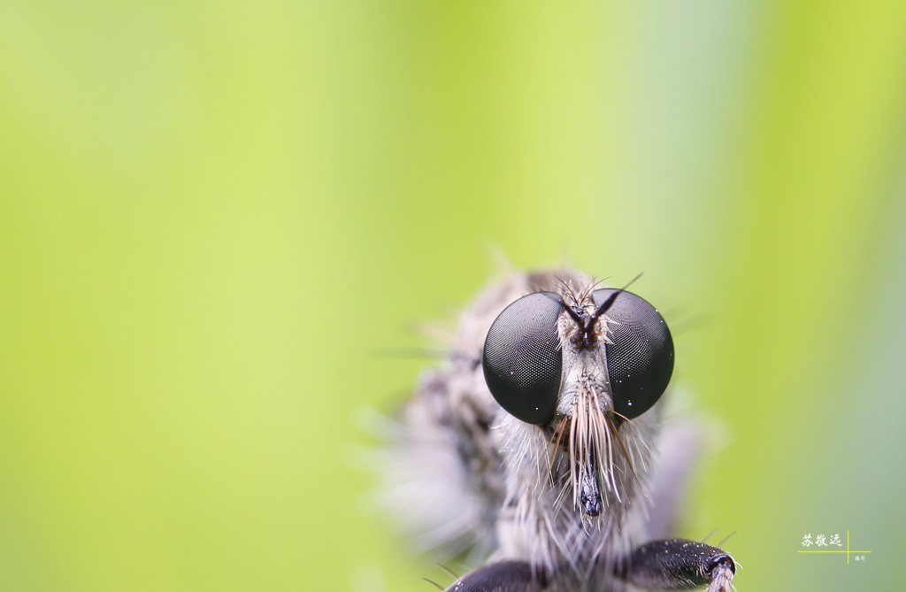 #版主坐堂# 2017年12月份微距星空(中国)优秀作品汇编