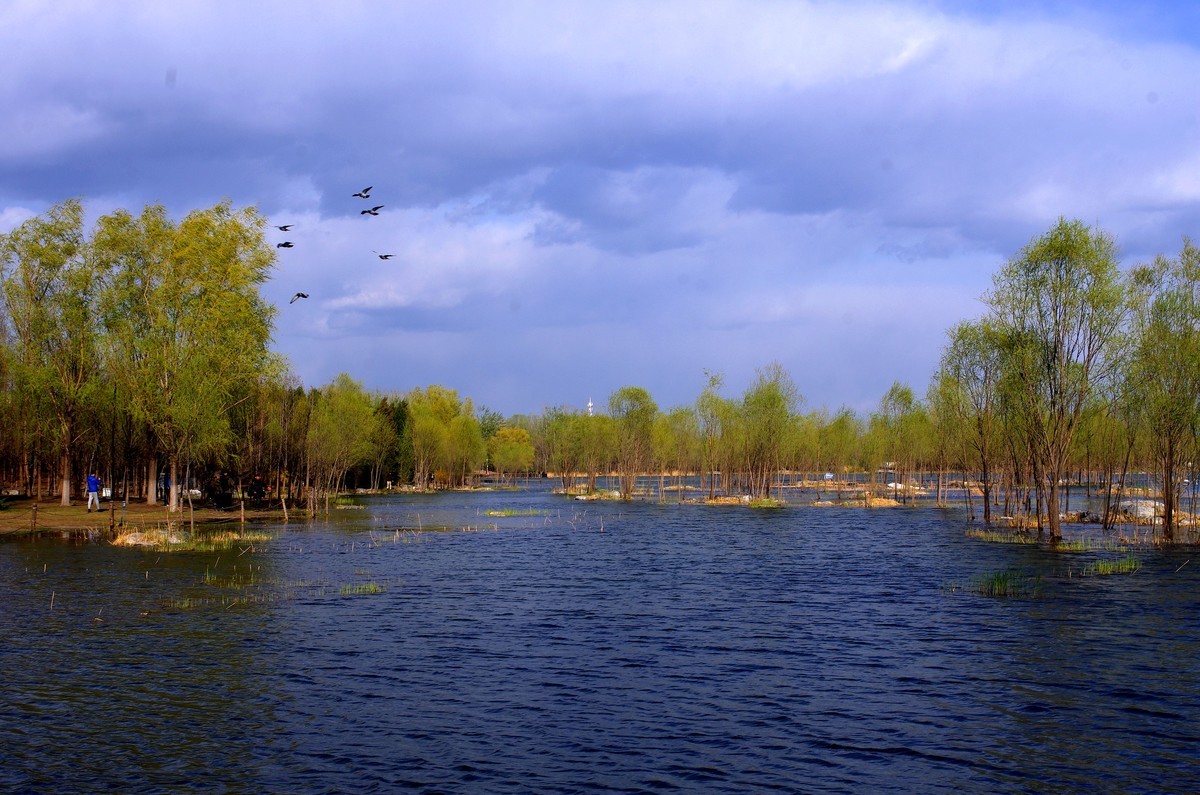 2018奧森公園溼地風景三