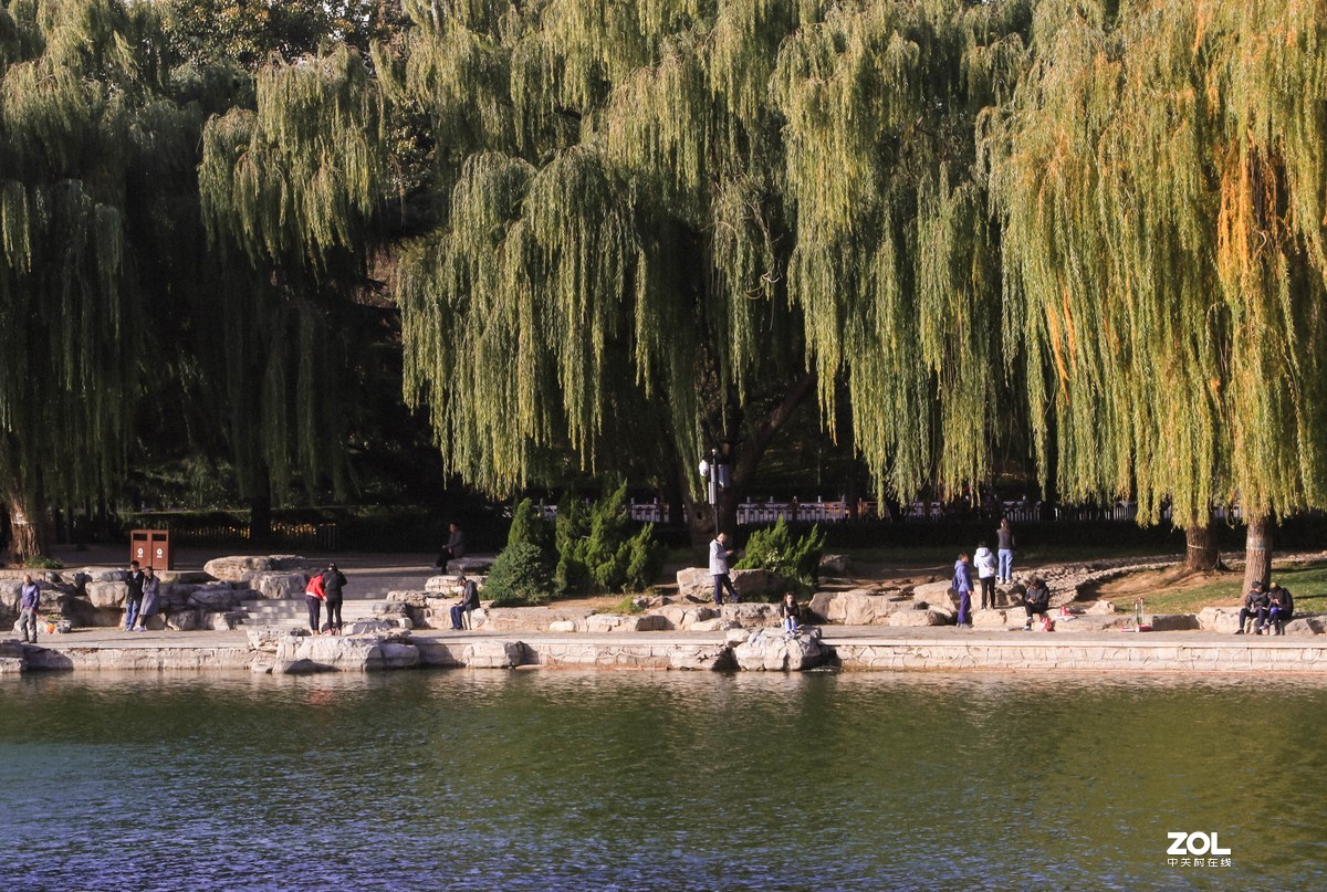 #ZOL月赛晒秋#   秋色