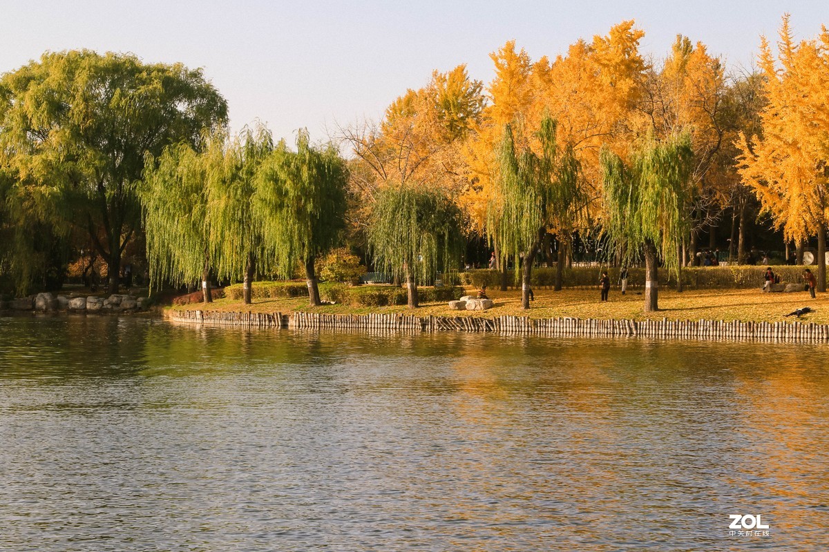 #ZOL月赛晒秋#   秋色