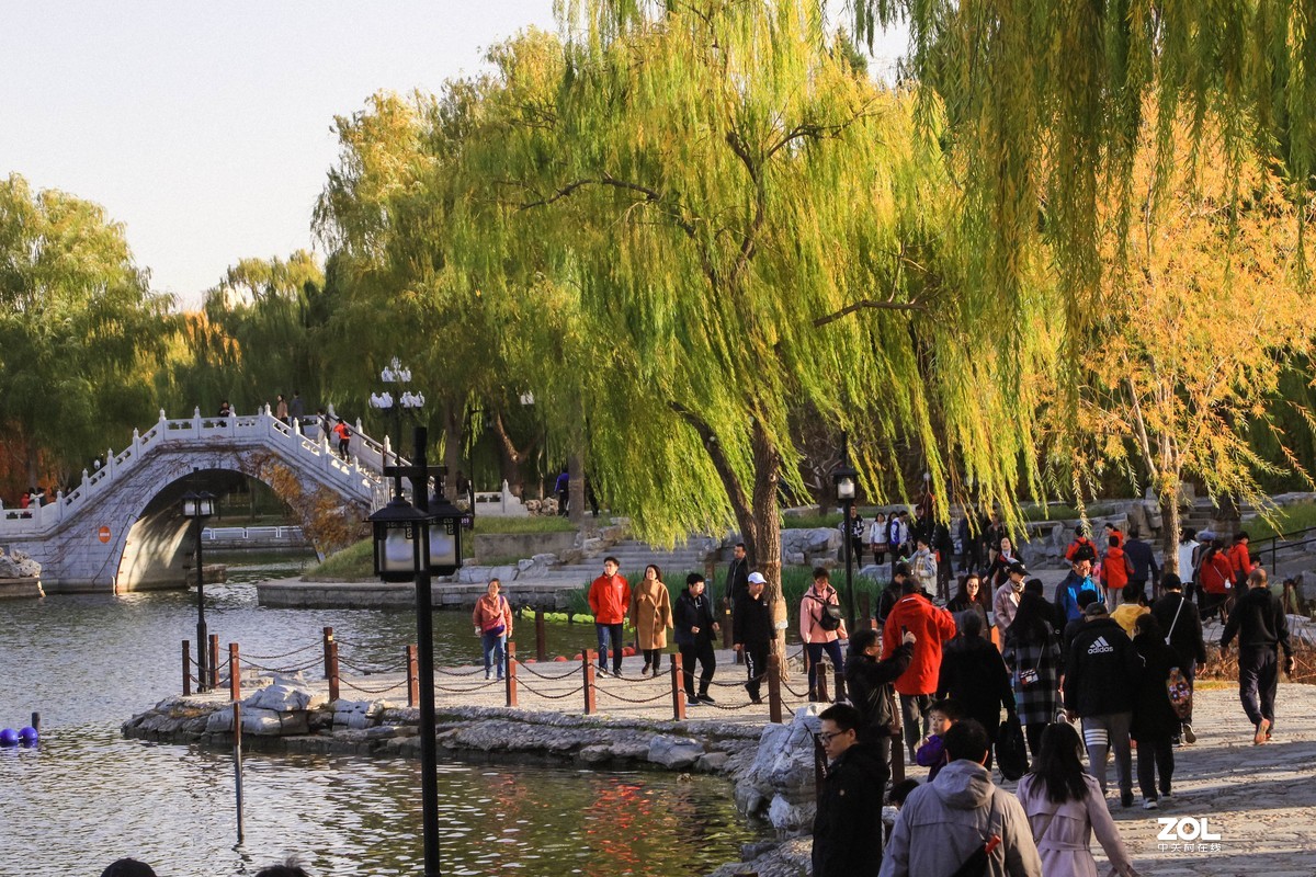 #ZOL月赛晒秋#   秋色