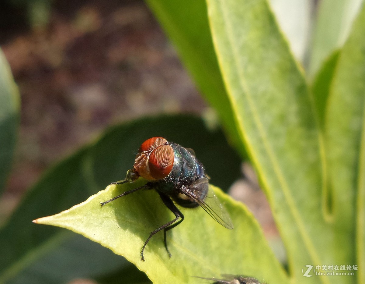星空体育平台手机拍片. 老照片上传