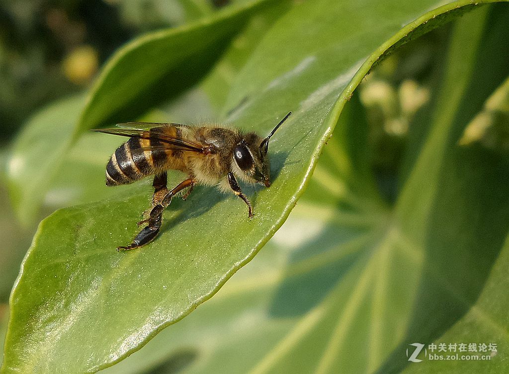 星空体育平台手机拍片. 老照片上传