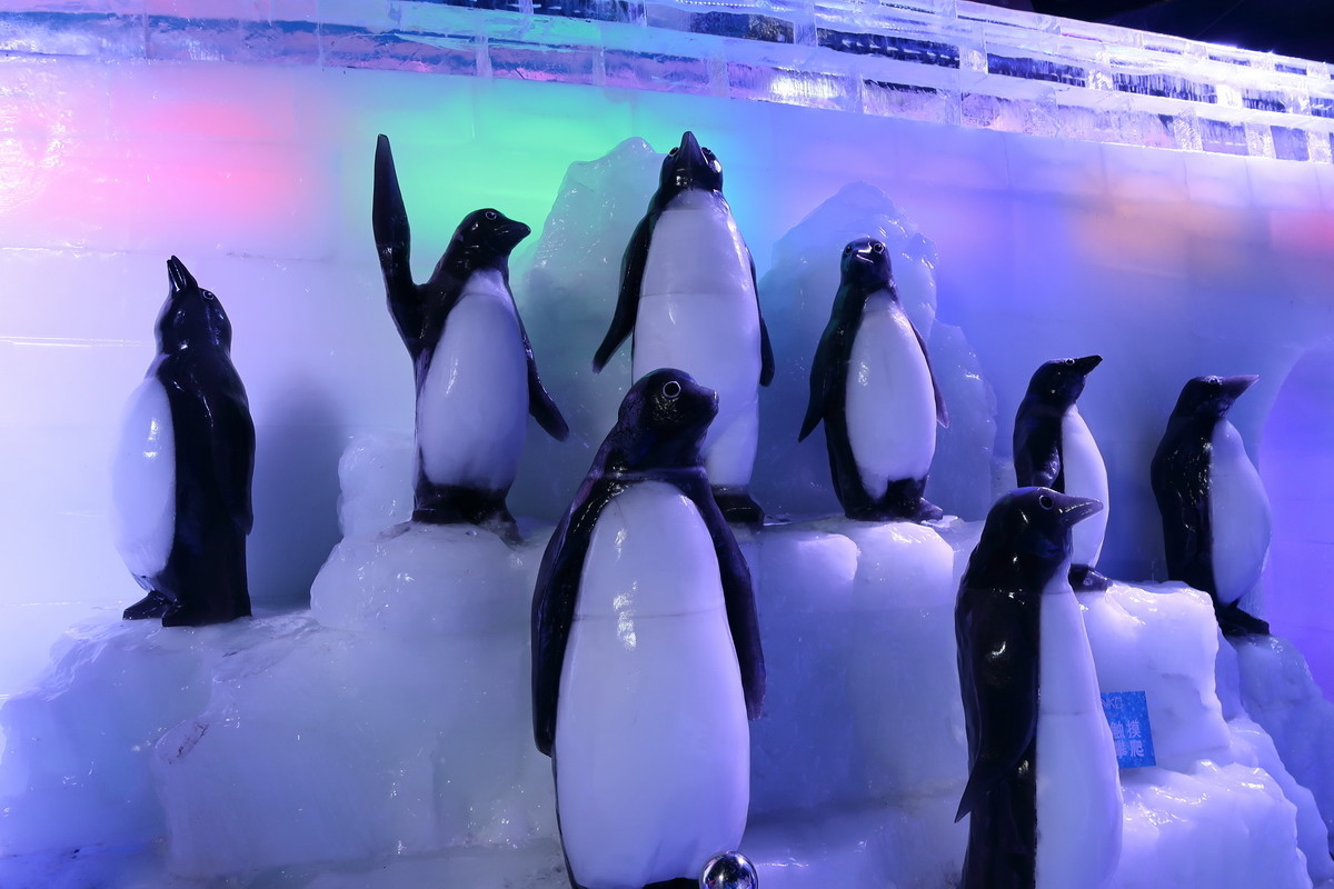 G7X MarkII  奇幻冰雪王国