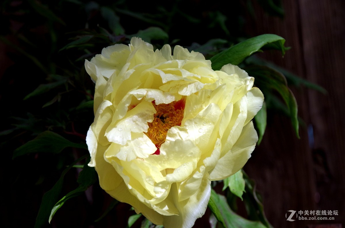 春暖花开是练手的好机会