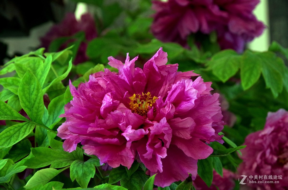 春暖花开是练手的好机会