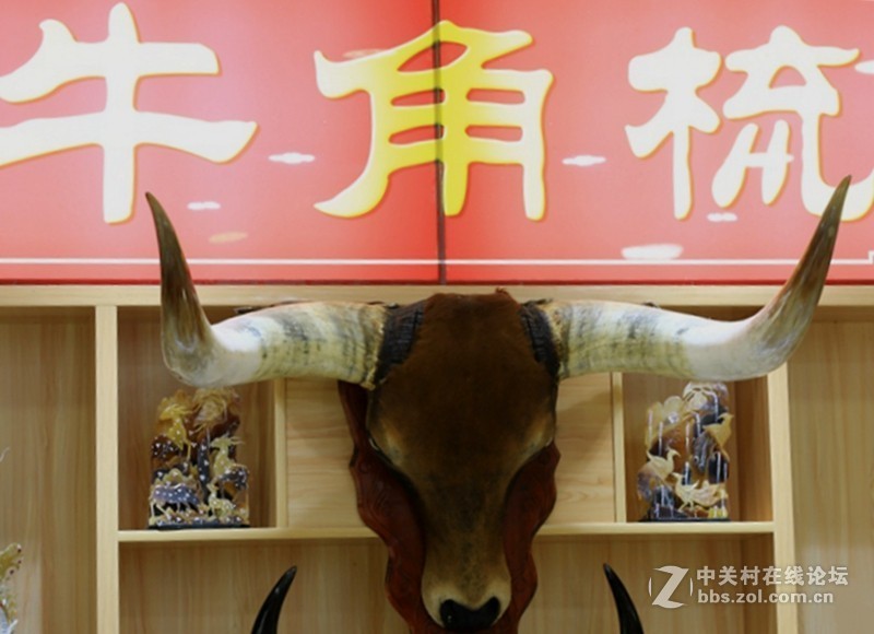 01进驻神农架！