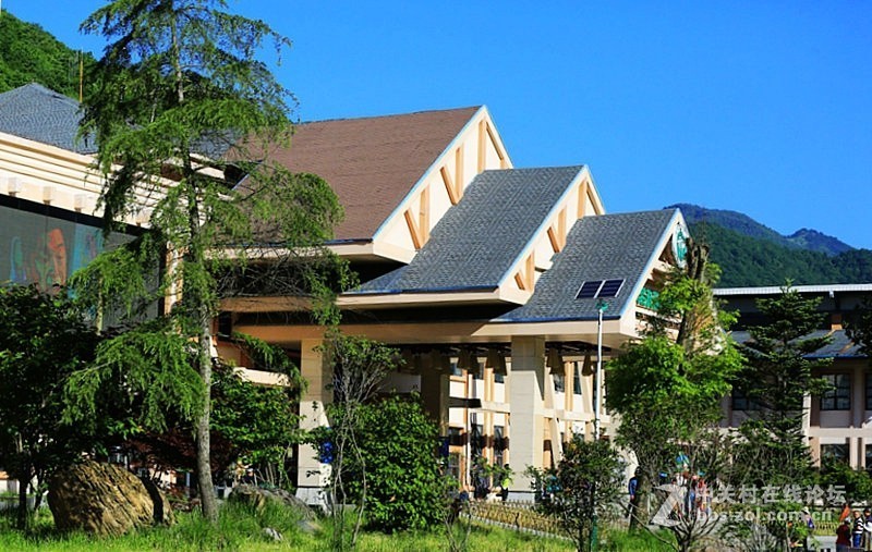 01进驻神农架！