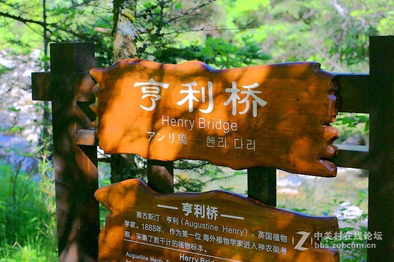 01进驻神农架！