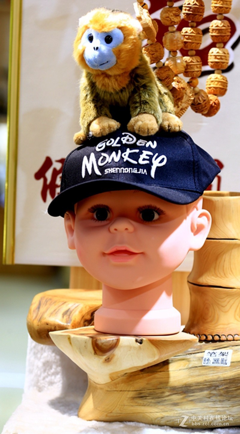 01进驻神农架！