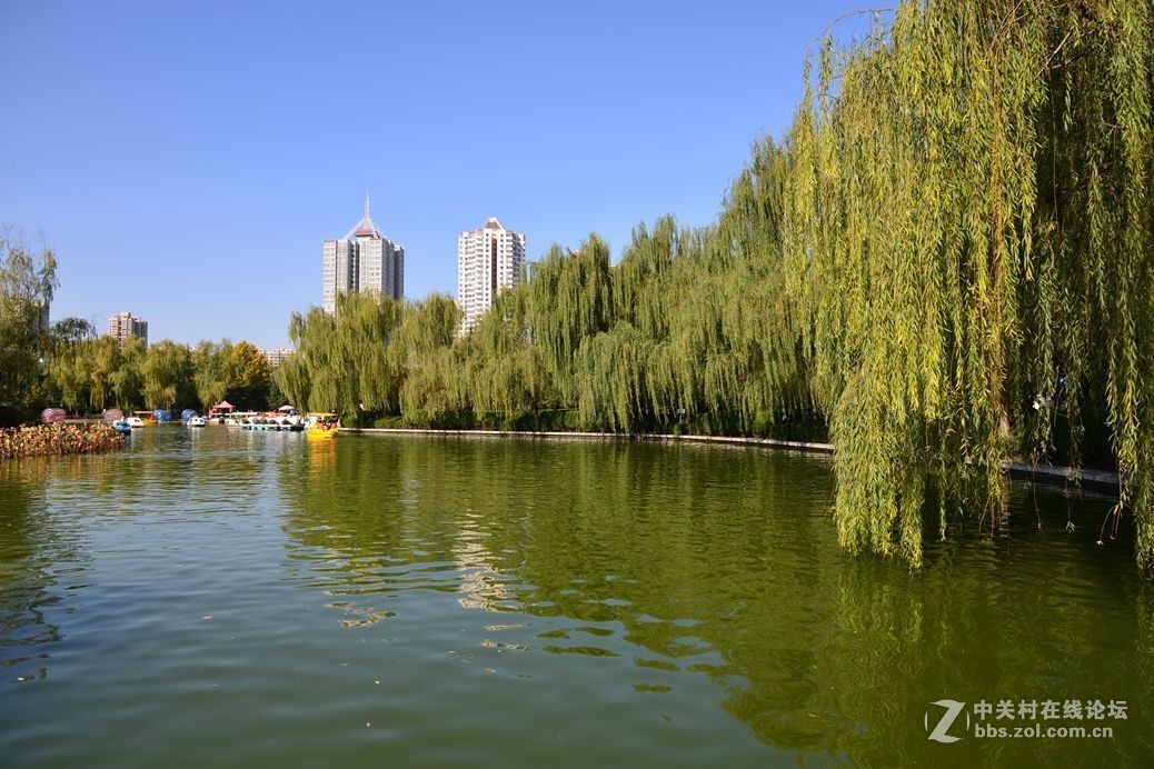 秋日小景