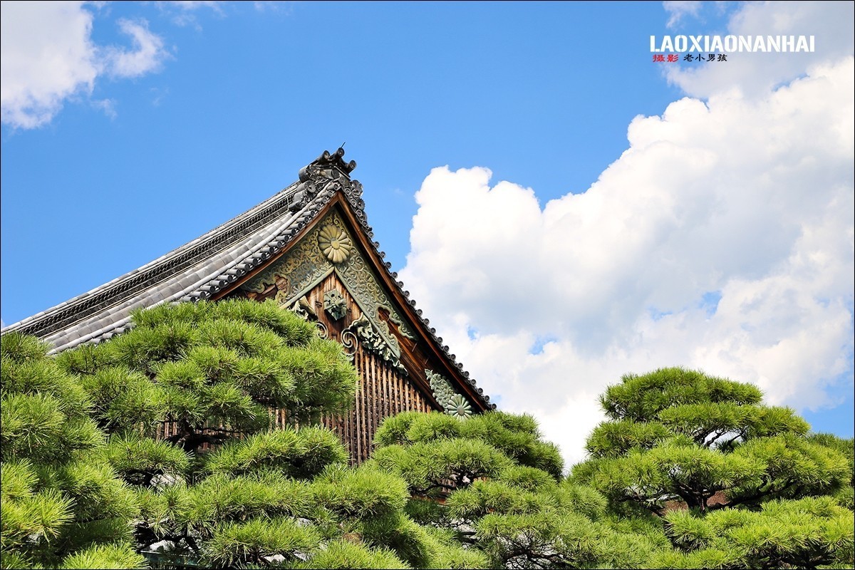 2018年日本京都行-二条城（1107F）