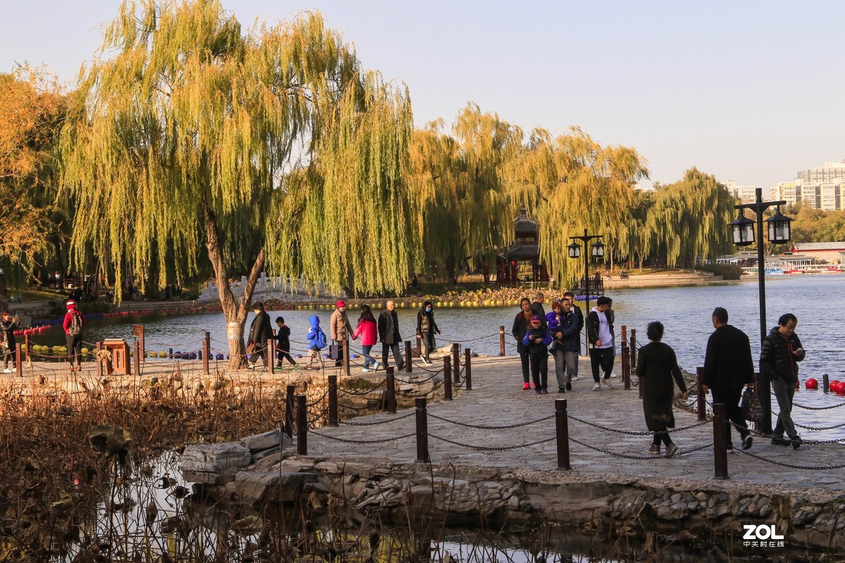 #ZOL月赛晒秋#   秋色