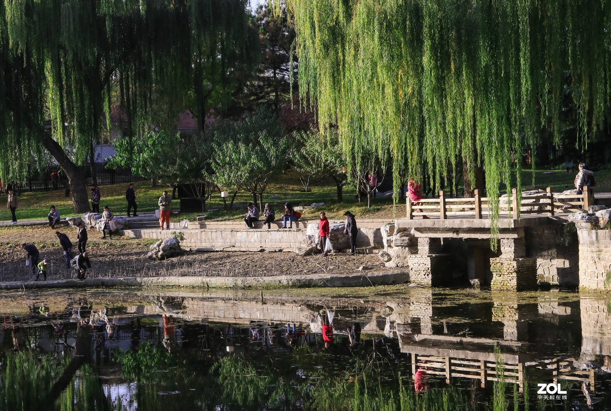 #ZOL月赛晒秋#   秋色