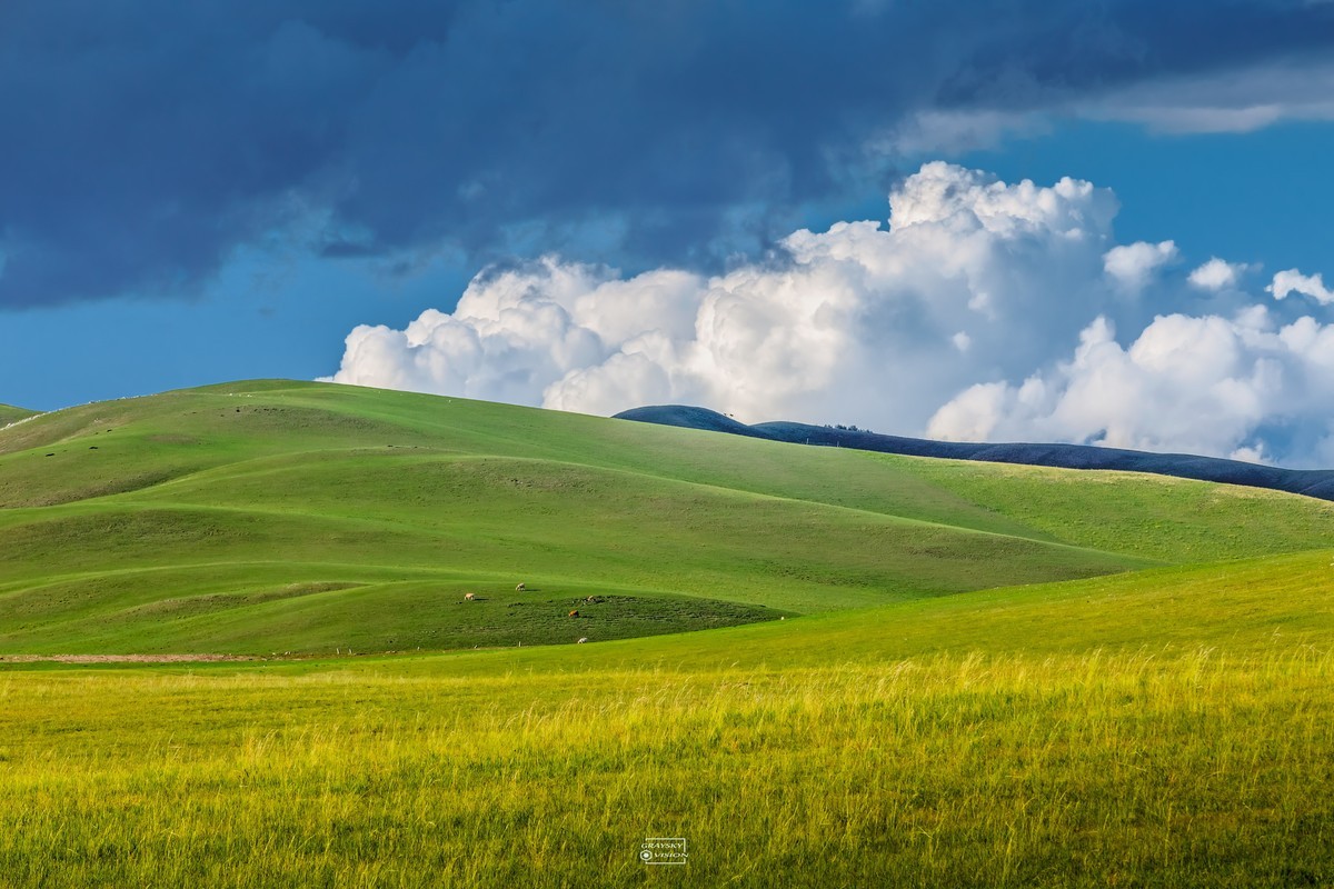 草原远眺