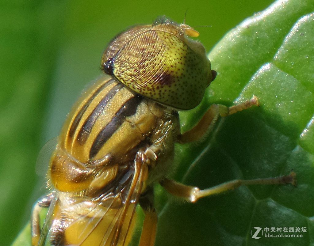 星空体育平台手机拍片. 老照片上传