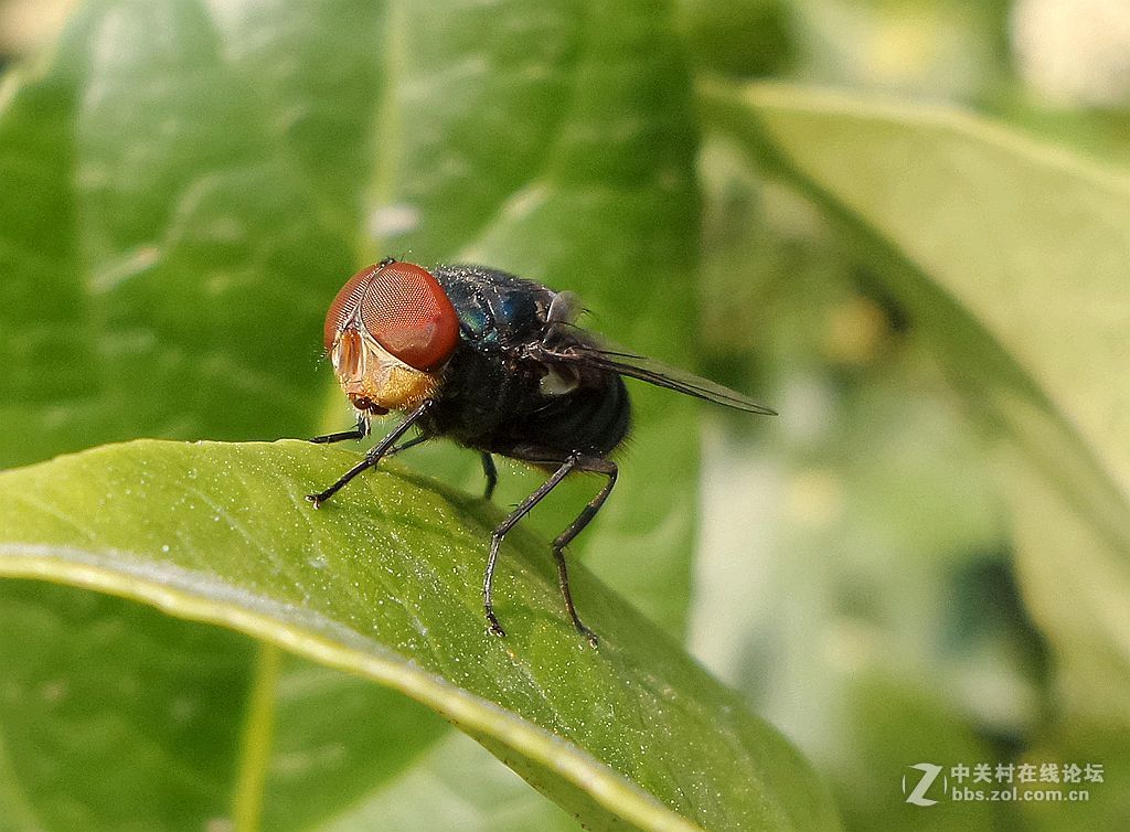 星空体育平台手机拍片. 老照片上传