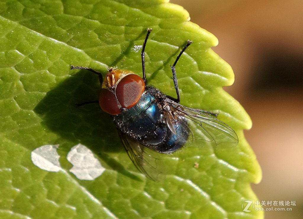 星空体育平台手机拍片. 老照片上传