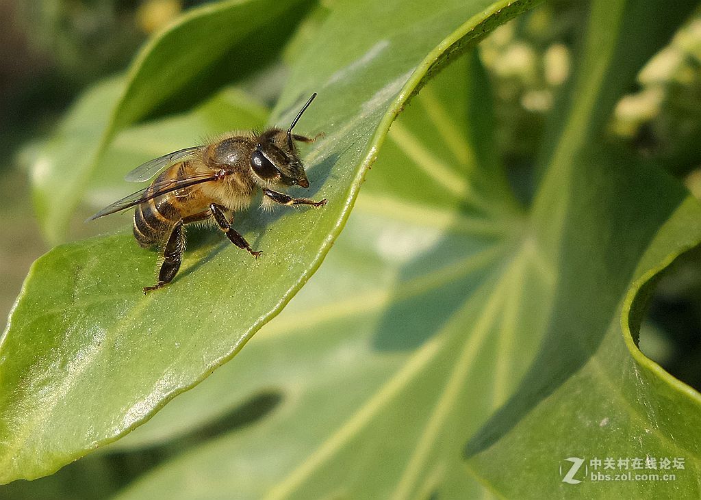 星空体育平台手机拍片. 老照片上传