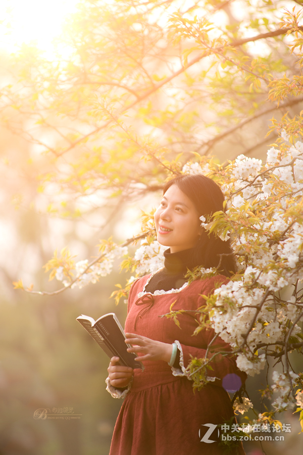 樱花树下的阅读姑娘