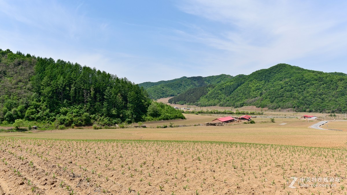 乡野-中关村在线摄影论坛