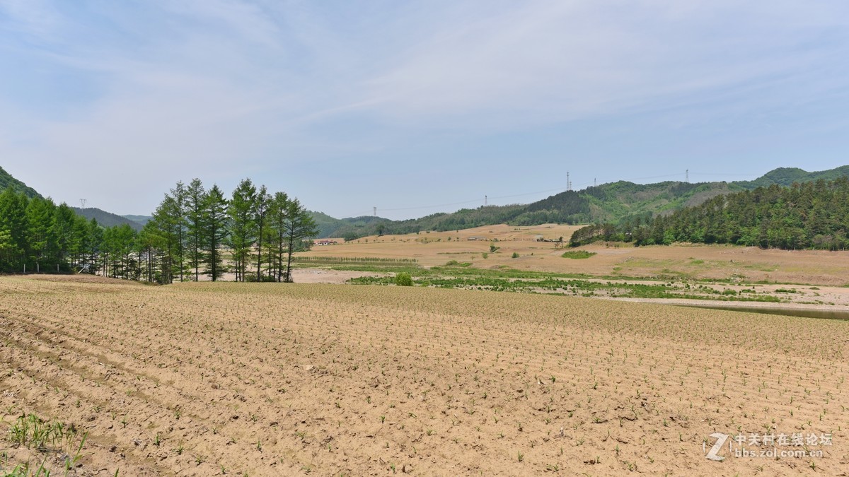 乡野-中关村在线摄影论坛