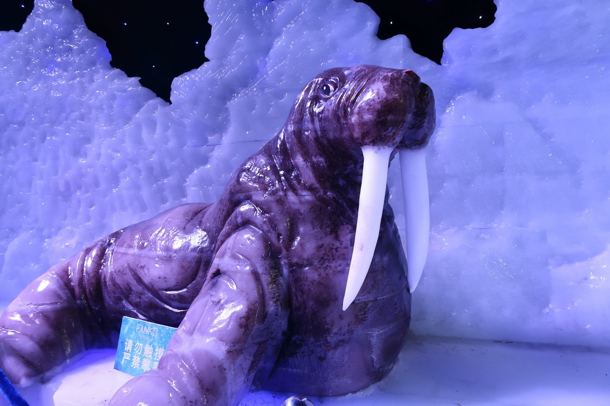 G7X MarkII  奇幻冰雪王国