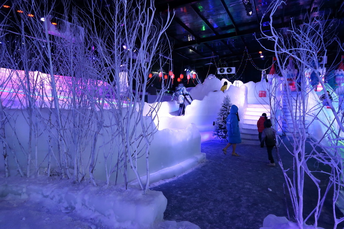 G7X MarkII  奇幻冰雪王国