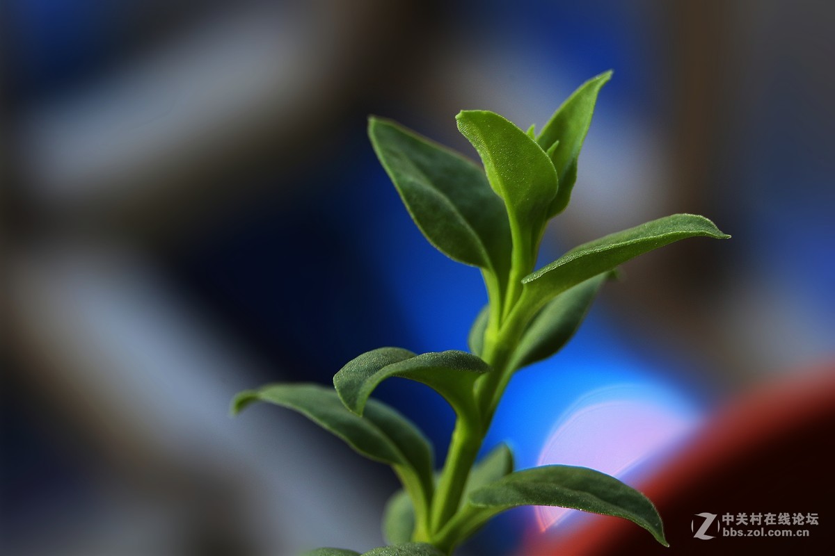 【光之子】军版徕卡SUMMILUX - R 1:1.4/50mm