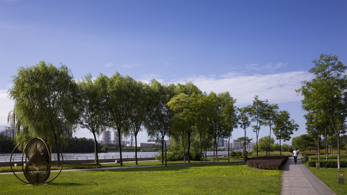 终于搞定理光gr2的白平衡