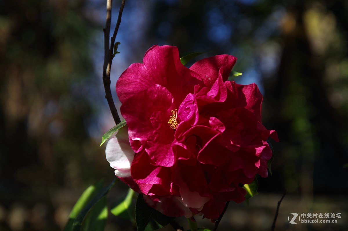 春暖花开是练手的好机会