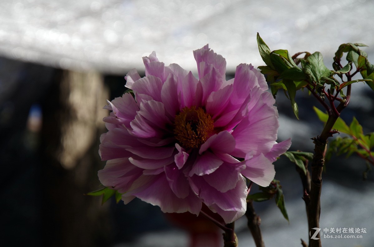 春暖花开是练手的好机会