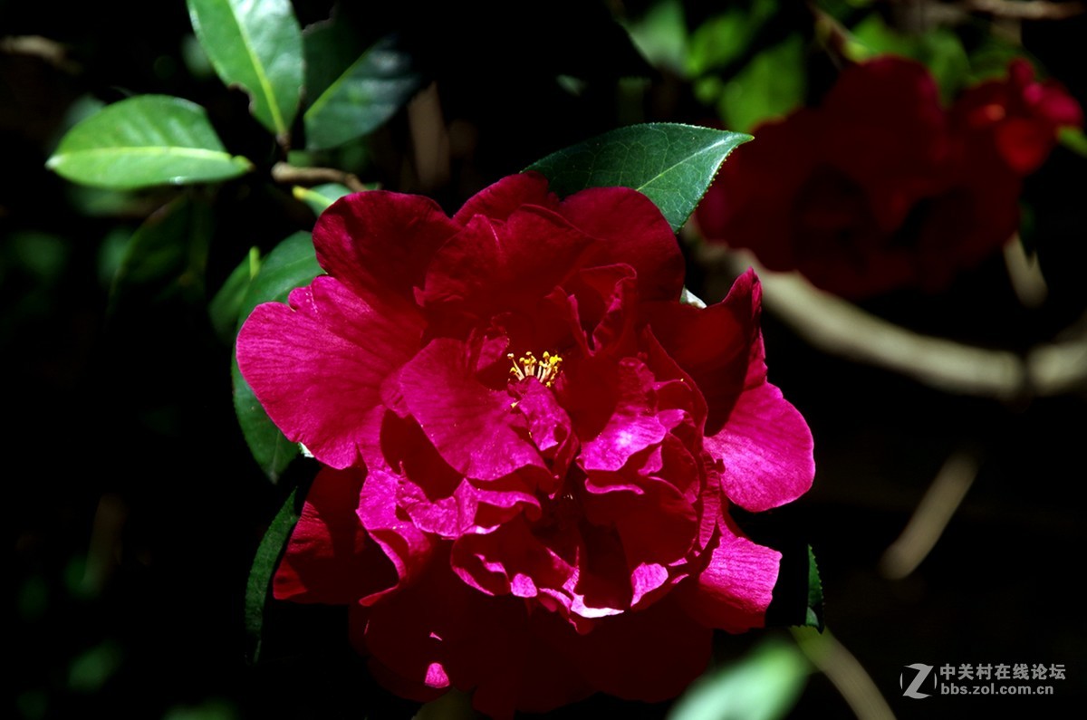 春暖花开是练手的好机会