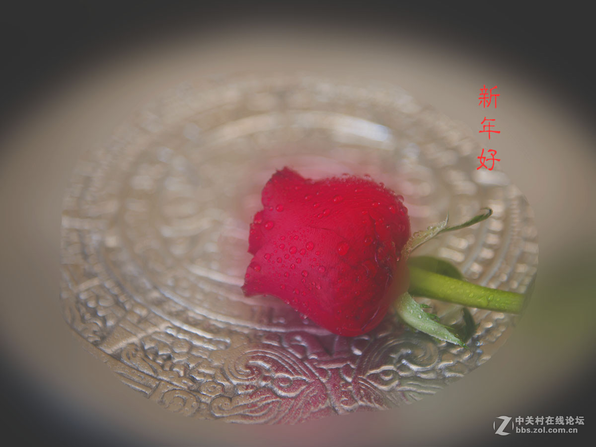 新年问好