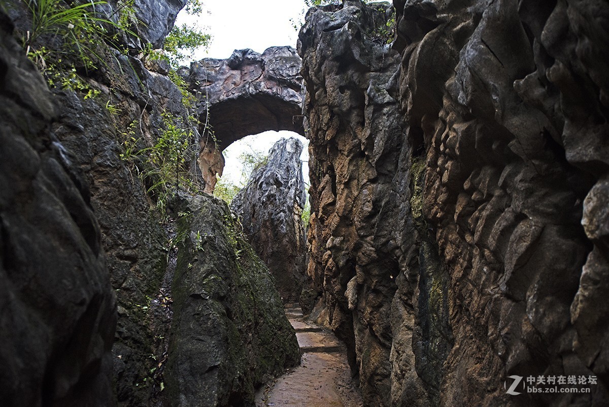 皖南行8奇特的燕崖石林