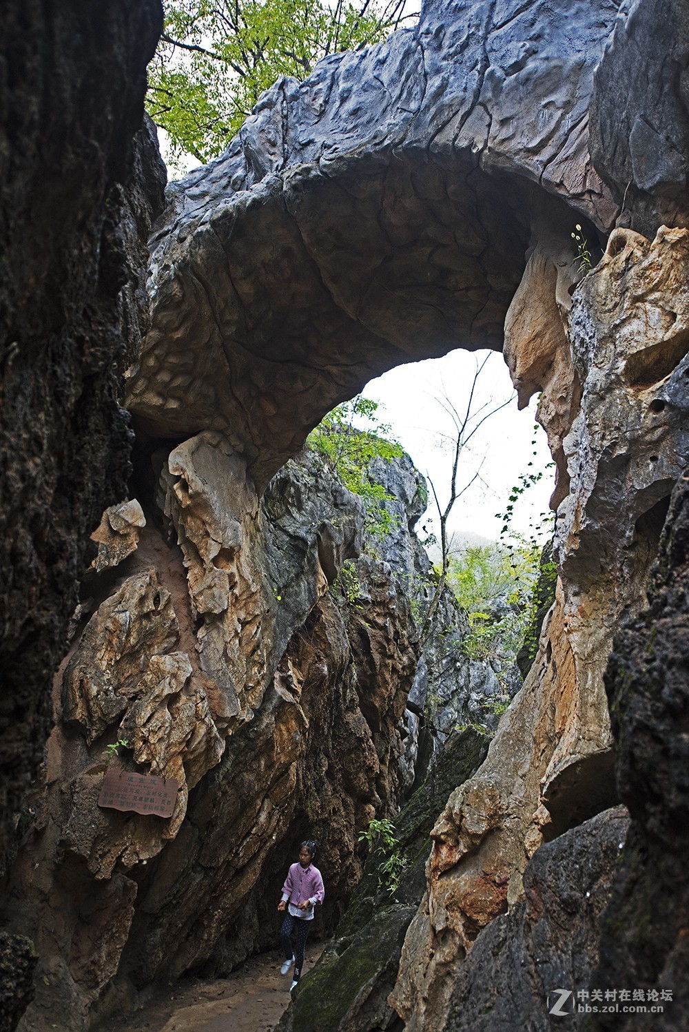 皖南行8奇特的燕崖石林