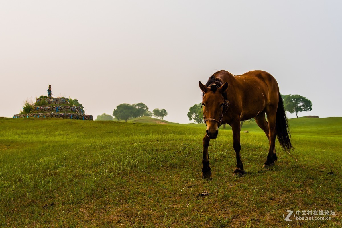 #版主坐堂#2017年10月份《承德》优秀作品选辑