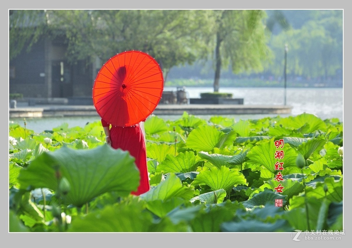 #版主坐堂#2017年10月份《承德》优秀作品选辑