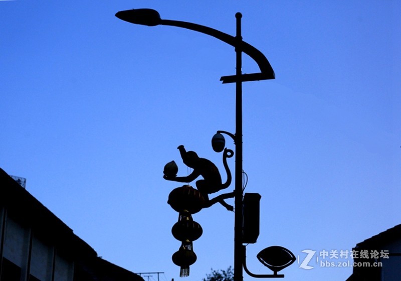 01进驻神农架！