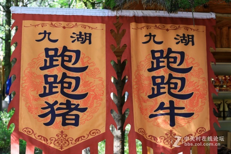 01进驻神农架！