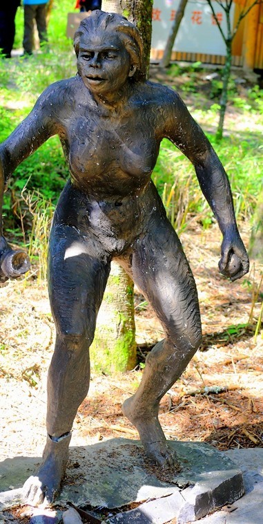 01进驻神农架！